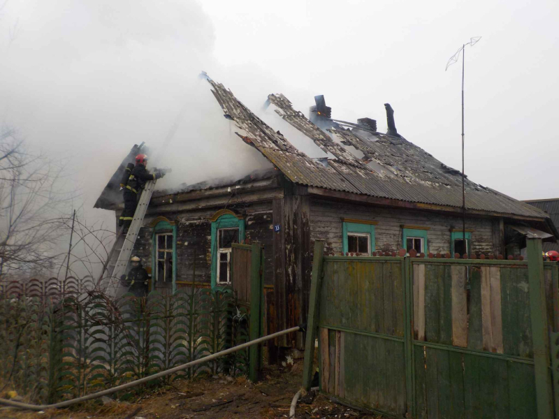 От огня спасали дом в Бобруйском районе