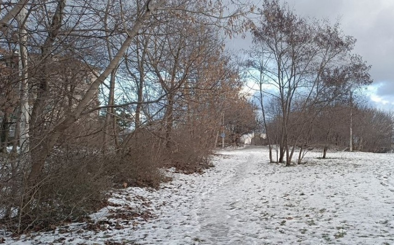 Погода в Бобруйске: мороз, мокрый снег, гололед…