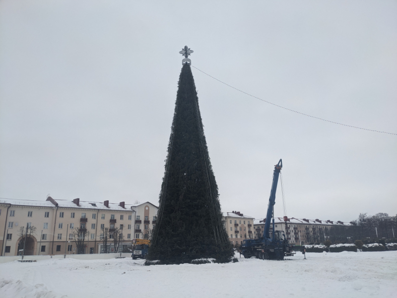Фотофакт: в Бобруйске разбирают главную городскую елку