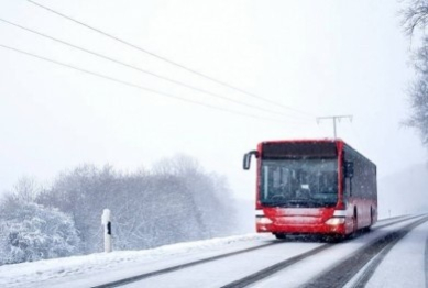 В связи с проведением городского зимнего спортивного праздника «Бобруйская лыжня - 2024» организовано движение дополнительного автобуса № 25