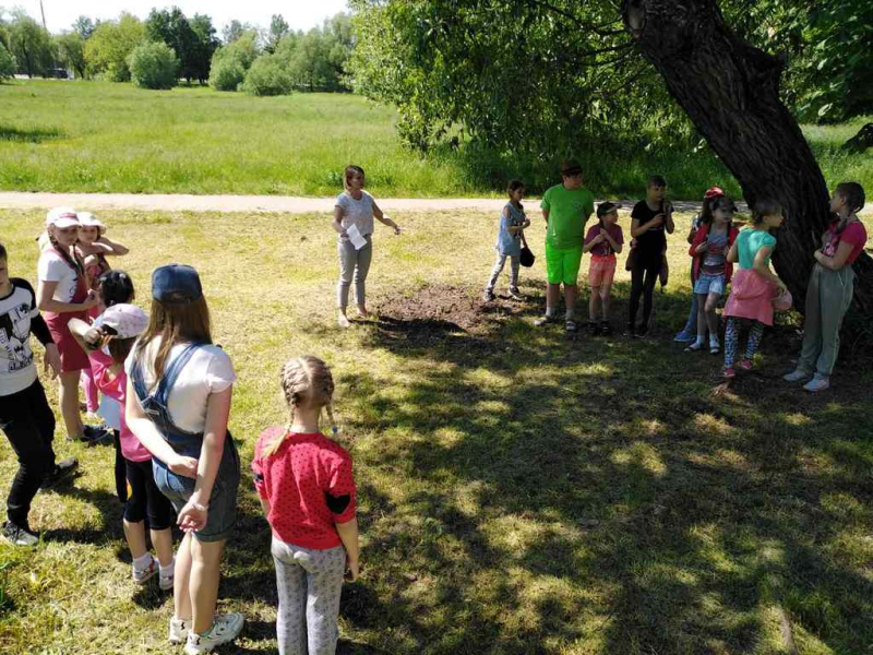 В Бобруйске начали работу летние оздоровительные лагеря
