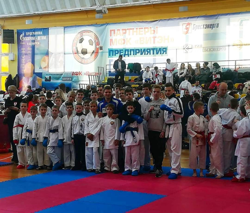 Девять медалей завоевали учащиеся бобруйской школы каратэ