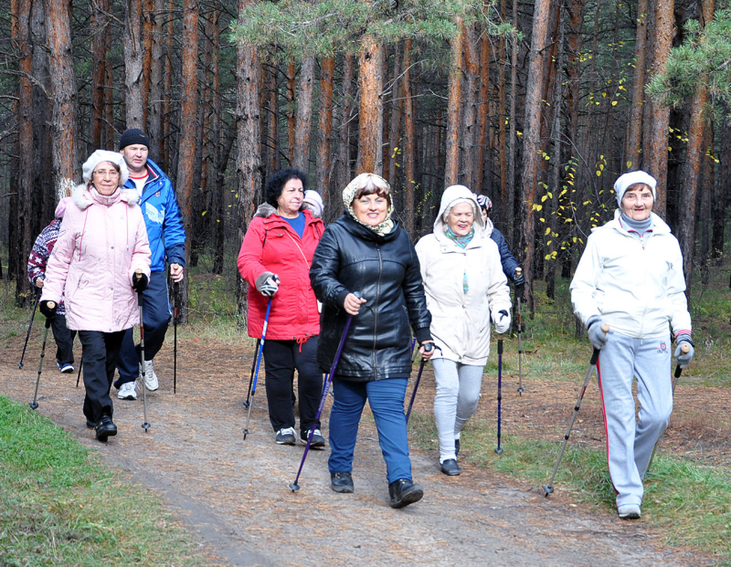 Скандинавская ходьба – шаг к здоровью