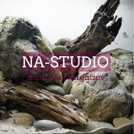 Na-Studio. Природный аквариум