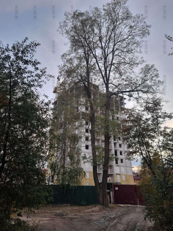 Фото Со стройки дома на перекрёстке улицы Октябрьской и Минская.