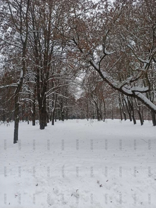 Тихая,безлюдная ,шикарная зима в парке