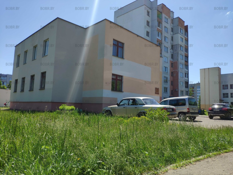 Трава непокошена даже возле центрального офиса ЖРЭУ города Бобруйска