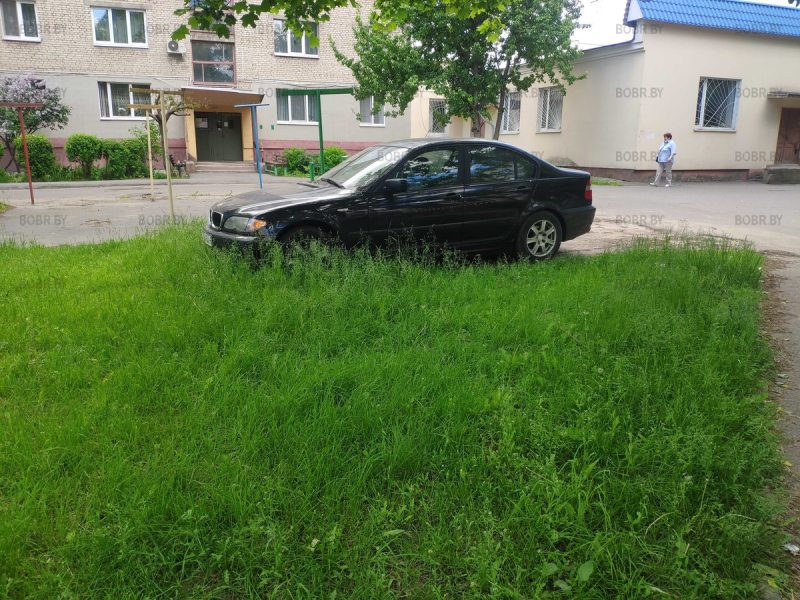 Нет ничего лучше, чем парковка на газоне, среди нескошенной травы. 