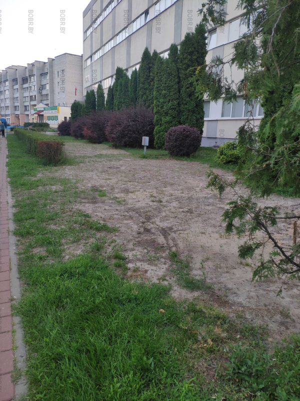 Очень красивый газон прямо возле одной из достопримечательностей Бобруйска 0 километр. Как вы считаете достоин город таких газона в самом центре города?