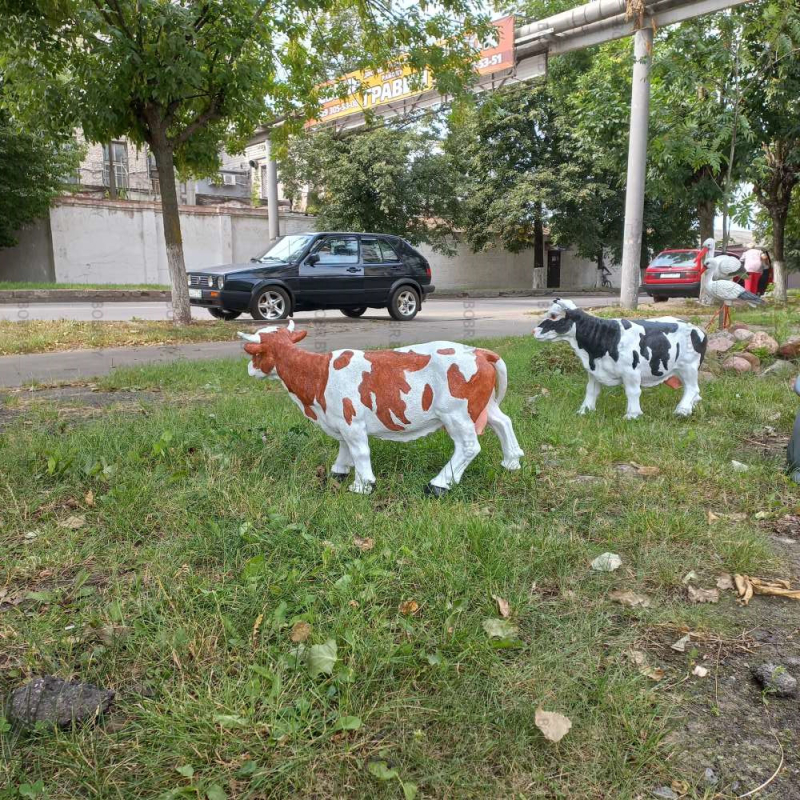 Коровки в городе 