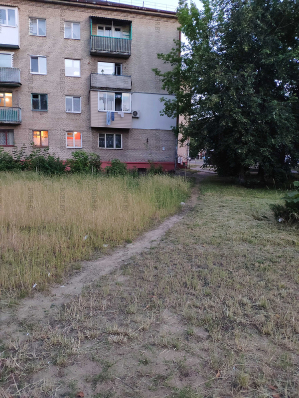 Окультуренные посадки, сорной травы. В Бобруйске 1 год то траву безбожно косят каждый день ничего не оставляя то не косят вовсе.