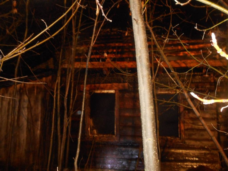 Пожар в деревне Малые Бортники