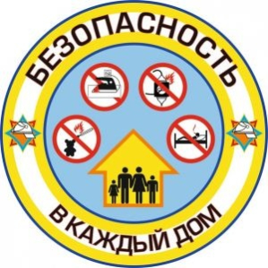 Профилактическая акция «Безопасность в каждый дом»