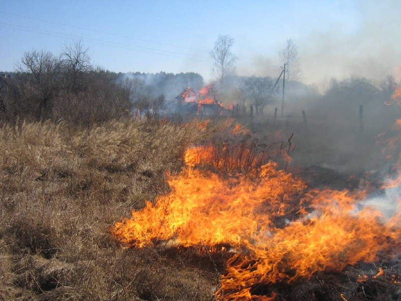 Пожар в деревне Орсичи