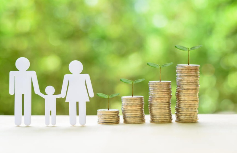 Назначение и использование семейного капитала