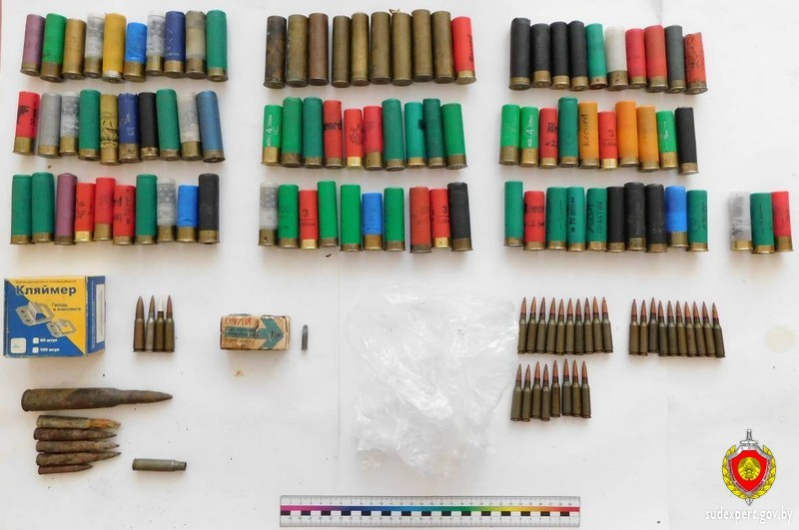 В Беларуси у пенсионера нашли арсенал оружия, боеприпасов и взрывчатых веществ. И кое-что еще