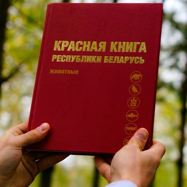 Минприроды планирует сократить Красную книгу Беларуси