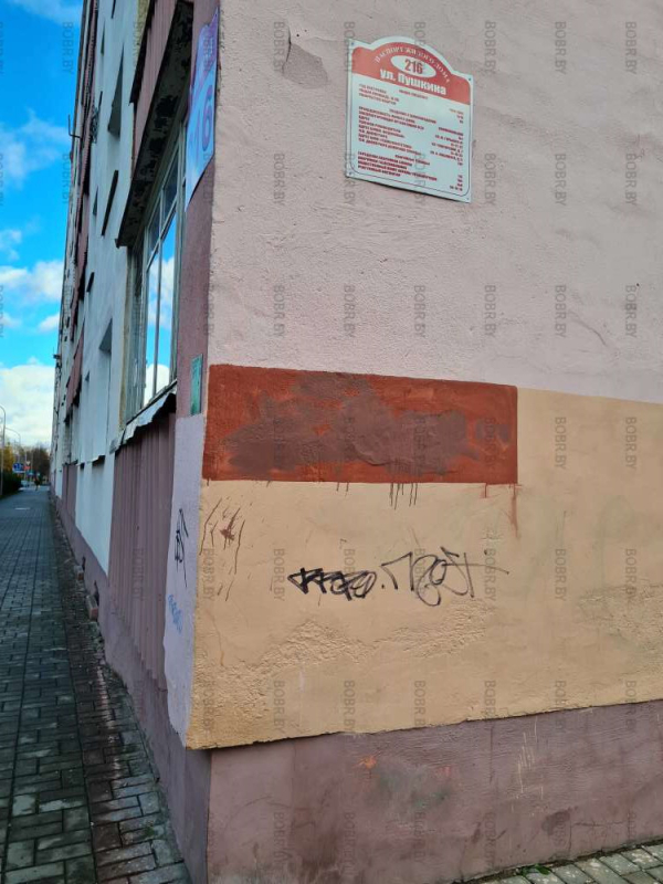 Вандальные надписи в Бобруйске, нынче работников ЖЭУ не смущают.