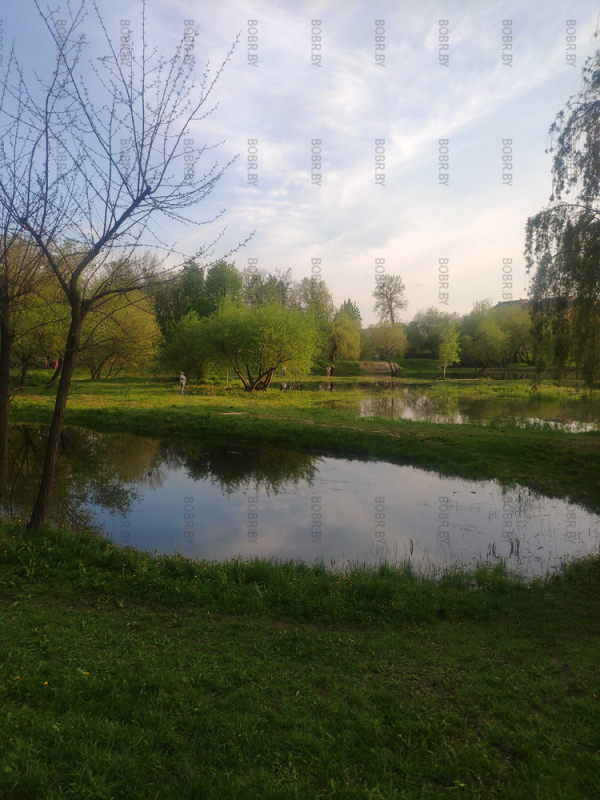 Бобруйский городской парк. Озёра.