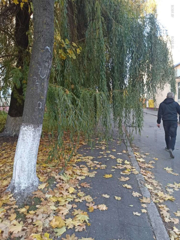 Классный тротуар рядом Минской