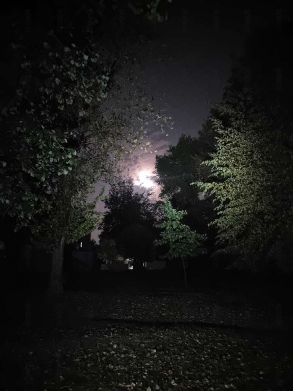 Луна, вид с Бобруйского парка