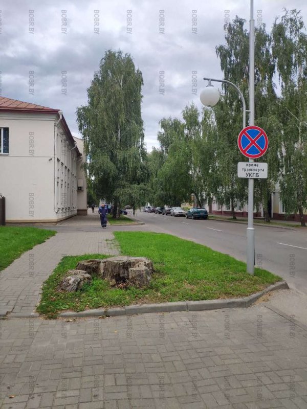 Прямо возле KGB, живописнейший старинный пень. Чтобы это значило? Неужели трудно убрать прогнивший пень и заложить это место красивой тротуарной плиткой?