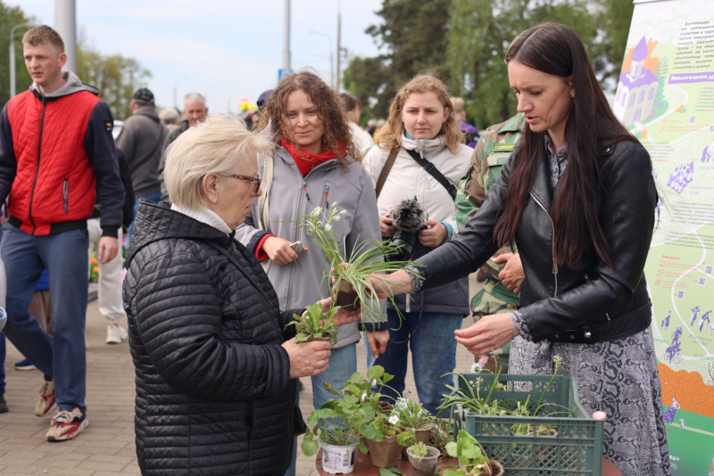 «Радуница без пластика»: как прошла раздача живых цветов возле Минского кладбища