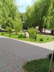 Новая однокомнатная квартира, у.Советская, 160, 45000у.е