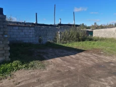 Гараж черепки