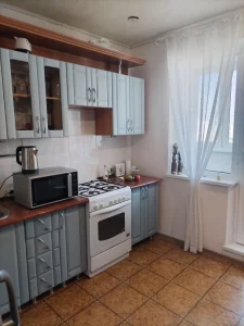 Однокомнатная квартира по пр-ту Строителей, д. 66, кор. 2