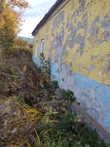 Недорого! Дом в деревне 3км от Кировска, 30км от Бобруйска