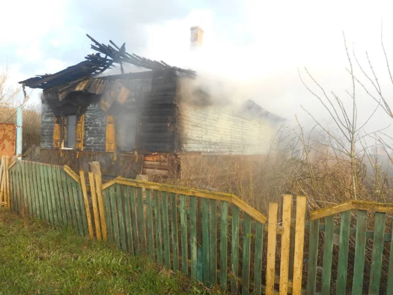 Пожар в деревне Малые Бортники
