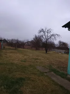 Родительский дом