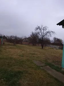 Родительский дом