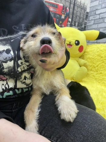 В ТЦ КАРУСЕЛЬ