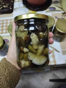 Грибы зелёнки