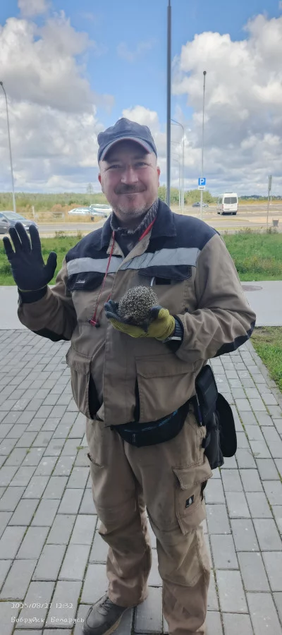 Сантехник-Теплотехник-Электромонтёр ищу работу.