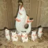 Антиквариат СССР