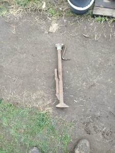 Домкрат волговский