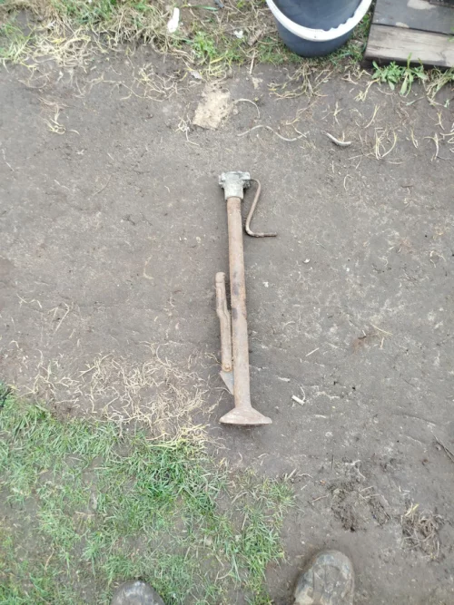 Домкрат волговский