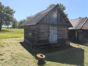 Дом в деревне Барсуки