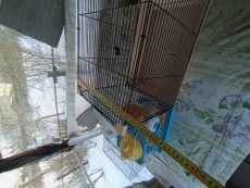 Клетка для грызунов