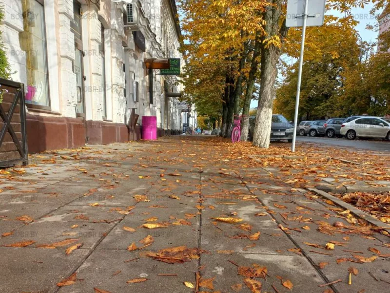 Тематическая подборка фотофактов: Улицы Бобруйска