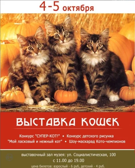 Выставка кошек