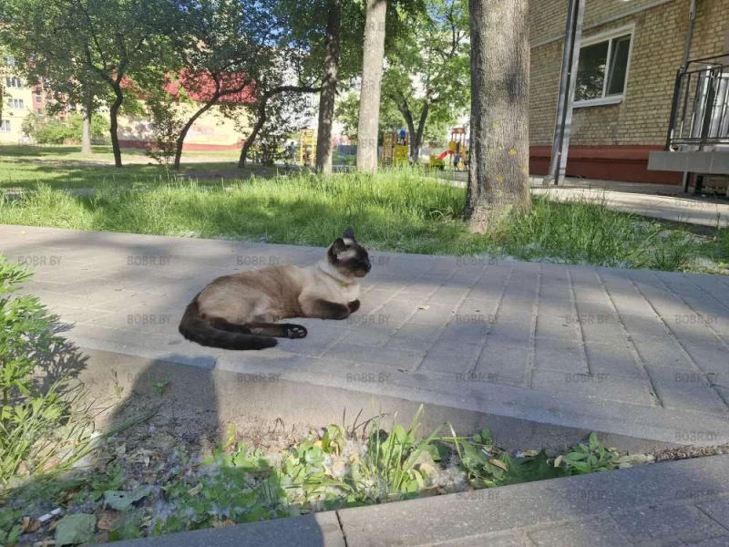 Еженедельная подборка фотофактов