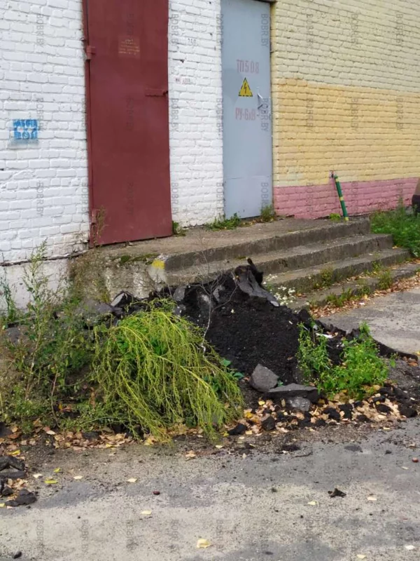 Асфальт положили 3 месяца назад, впрочем как и мусор оставленный успел за 3 месяца порасти травой