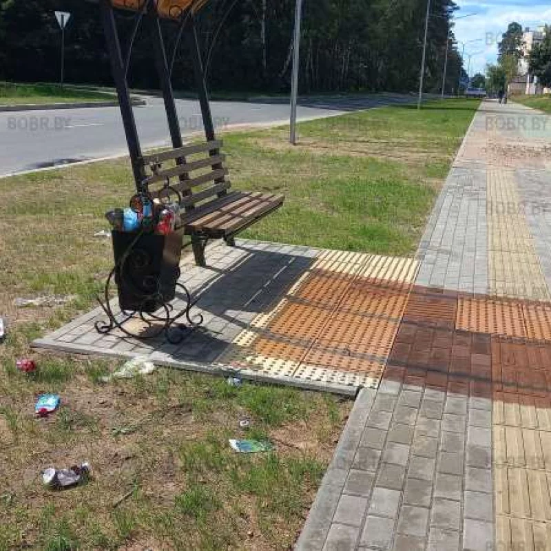 Мусорка есть, дворника нет