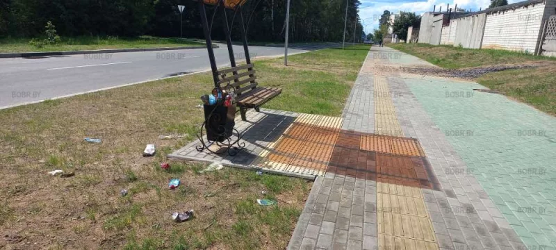 Мусорка есть, дворника нет