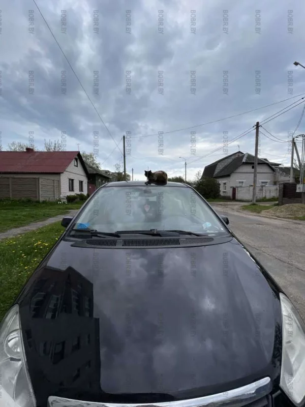 Любители авто)