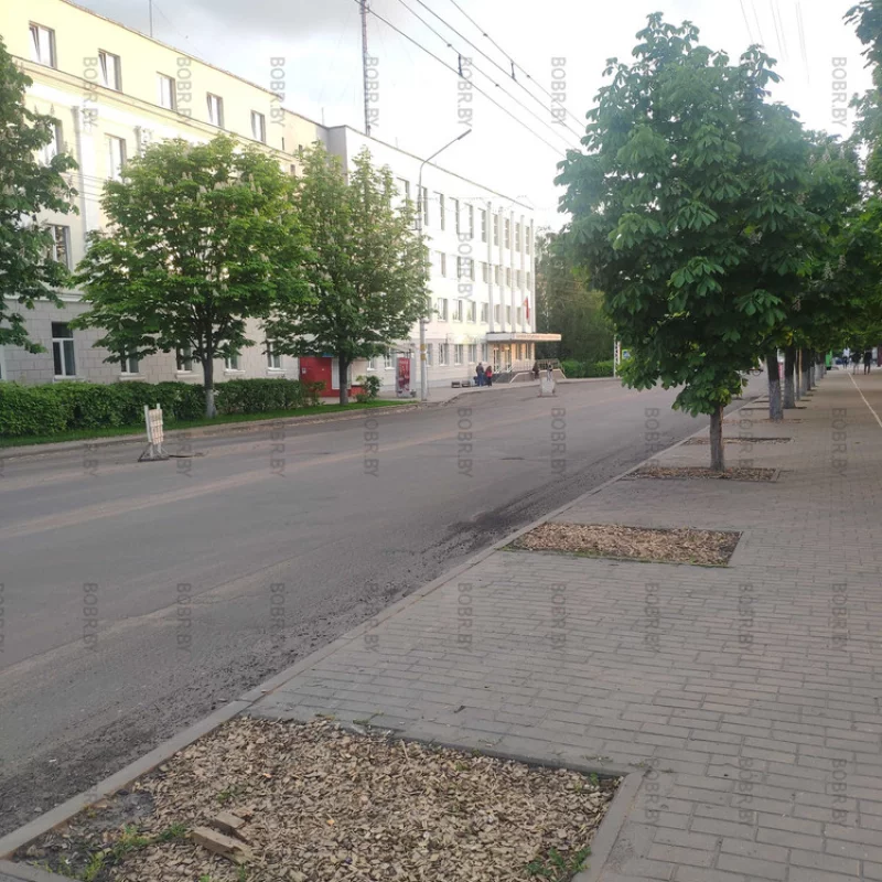 Неужели зеленхоз не найдёт сил, посадить саженцы деревьев на этих пустых местах?